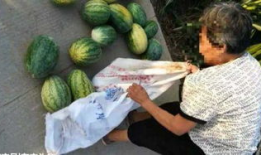 井陉吃瓜最新事件爆料,揭秘背后真相与争议焦点